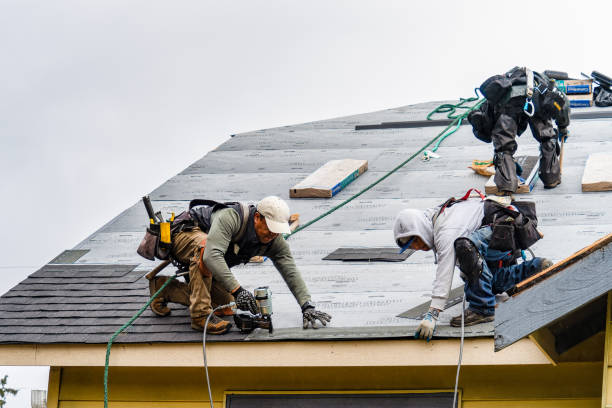 Professional Gutter Installation technician working in Hatch, NM